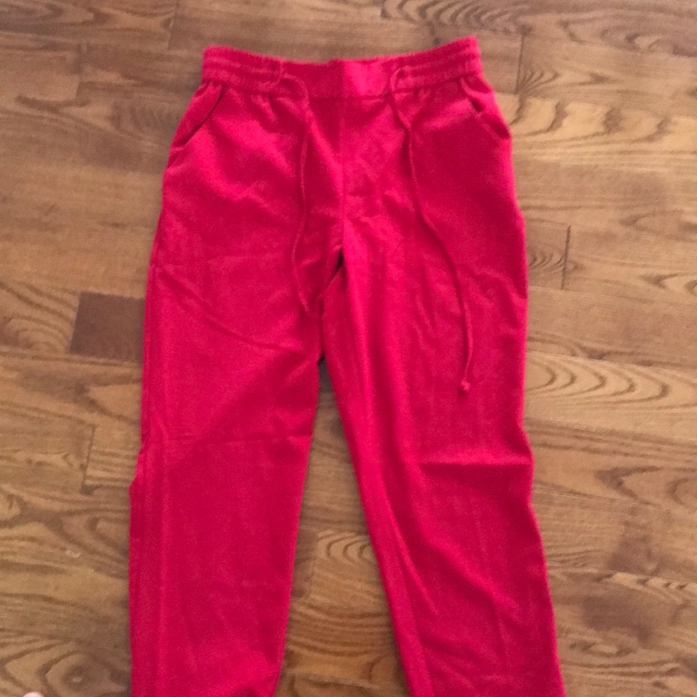 Express dress pants